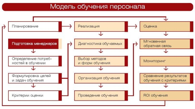 План развития персонала на предприятии