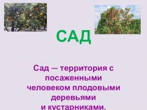 Презентация по эрзянскому языку на тему  Сад-Умарьпире (2 класс)