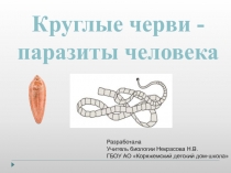 Презентация по биологии на тему Круглые черви - паразиты человека (9 класс коррекцион. школа)