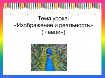 Презентация к уроку изо 2 класс Павлин