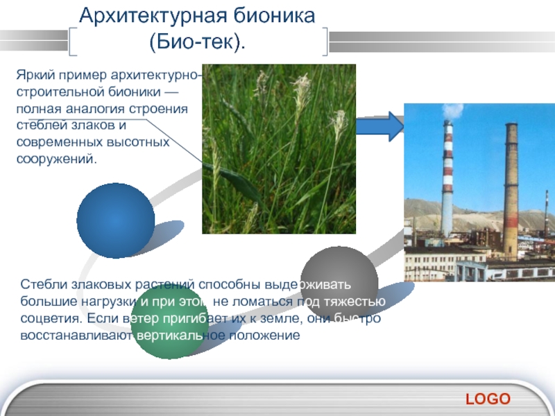 Презентация про бионику