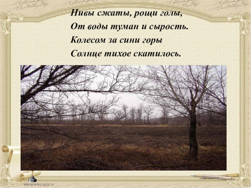 Сжать ниву. Нивы сжаты Рощи голы Есенин. Есенин стихи Нивы сжаты. Сергей Есенин Рощи голы. Стих Нивы сжаты Рощи голы.