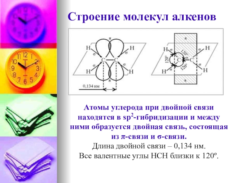 Двойная связь алкенов. Электронное строение двойной связи алкенов. Строение двойной связи. Строение двойной связи алкенов. Строение молекулы алкbнов.