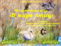 Интерактивная игра В мире птиц