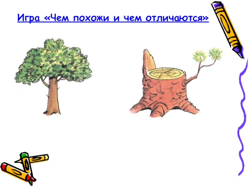 На что похоже что делает. Чем похожи и чем отличаются. Игра чем походе чем отличаются. Игра чем похожи и чем отличаются в картинках. Чем похожи предметы.