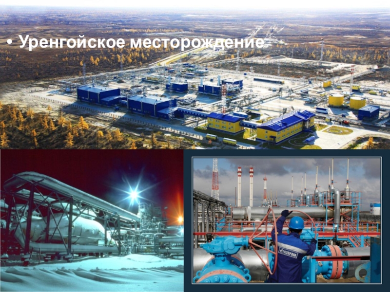 Уренгойское газовое месторождение. Новый Уренгой месторождения нефти. Уренгой месторождение газа. Уренгойское месторождение природный ГАЗ.