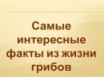 Презентация по окружающему миру Самые интересные факты из жизни грибов