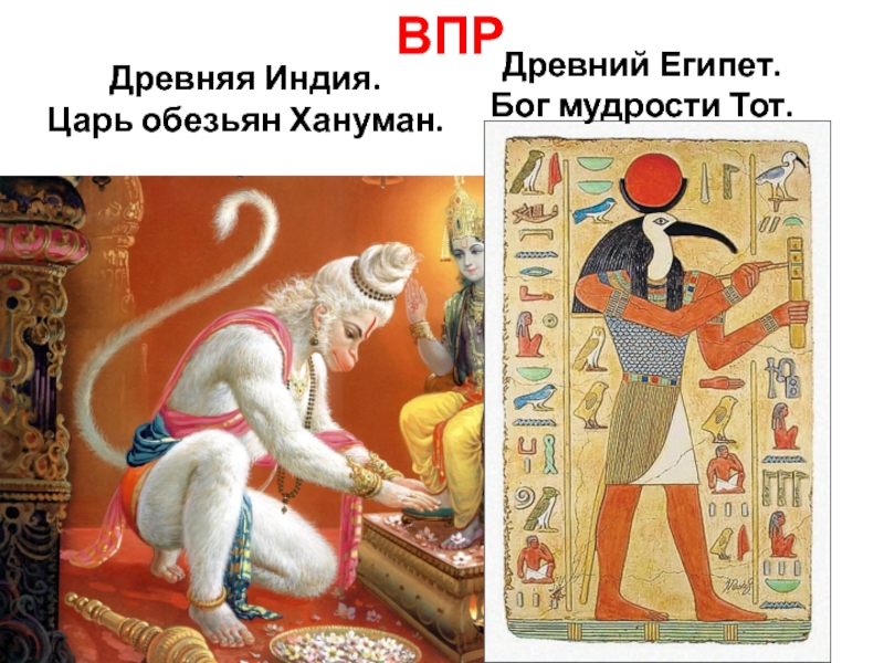 Древняя индия 5 класс история впр картинки