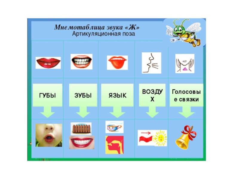 Слоги слова гости