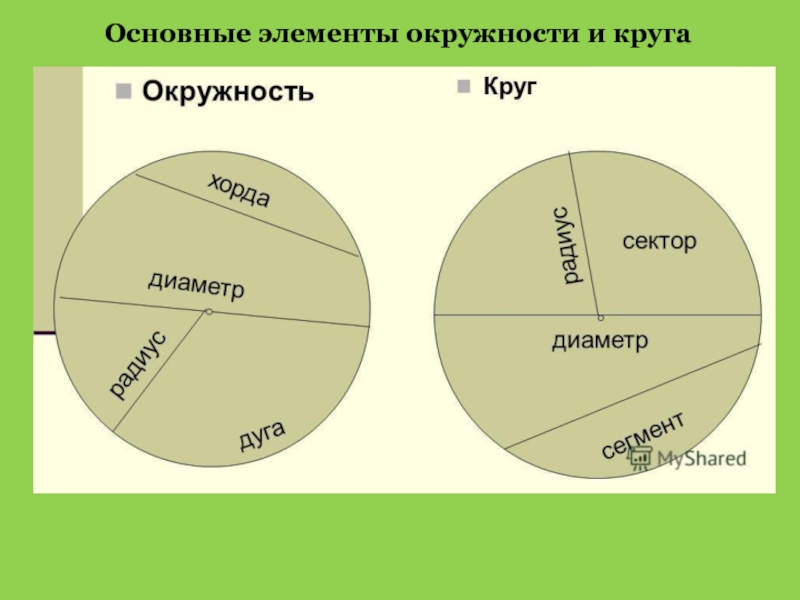 Чертеж окружности и круга