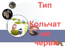 Презентация к уроку биологии по теме Тип кольчатые черви