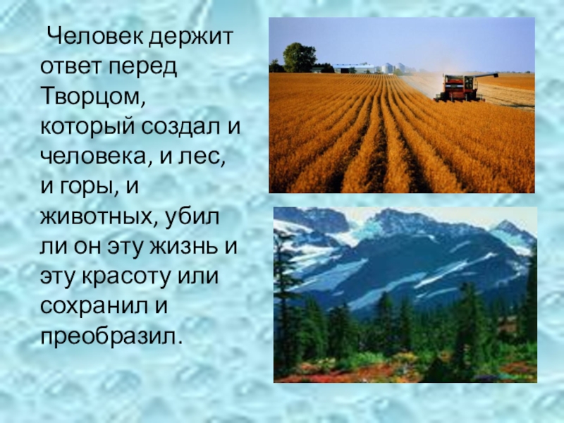 Презентация на тему отношение христианина к природе