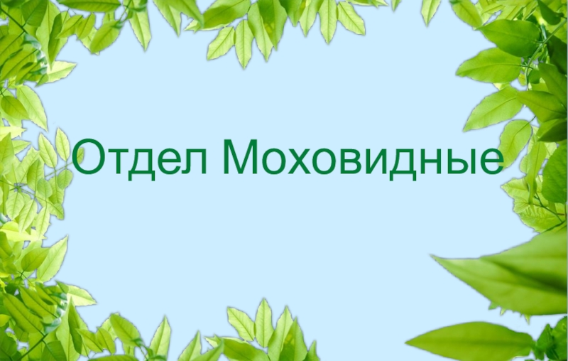 Готовая презентация по биологии