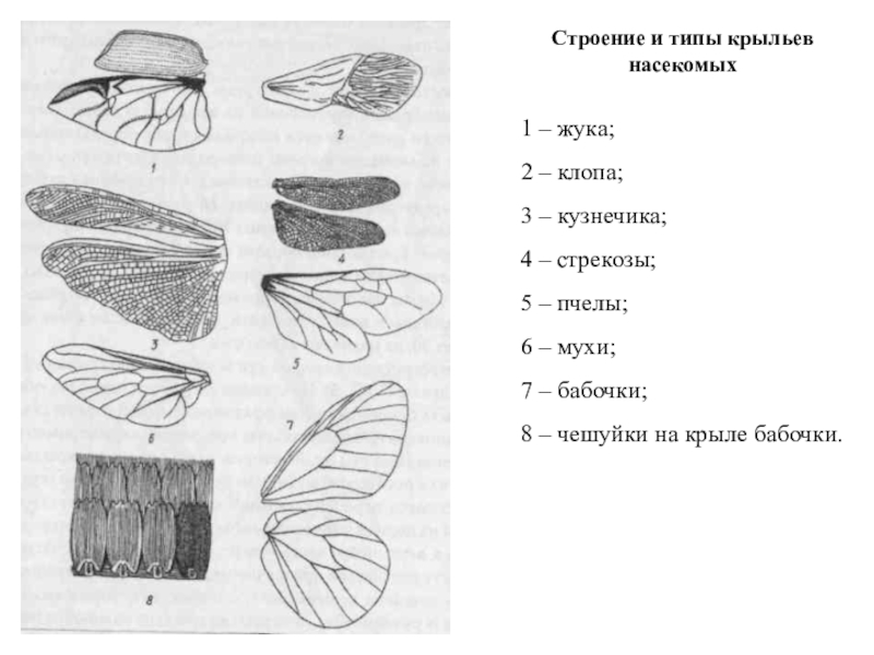 Изображенные на рисунке детали являются частями и называются