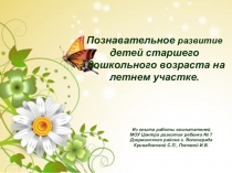 Познавательное развитие детей старшего дошкольного возраста на летнем участке.