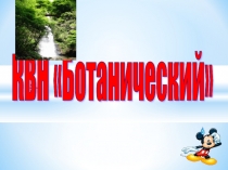 Презентация по биологии (6 класс)