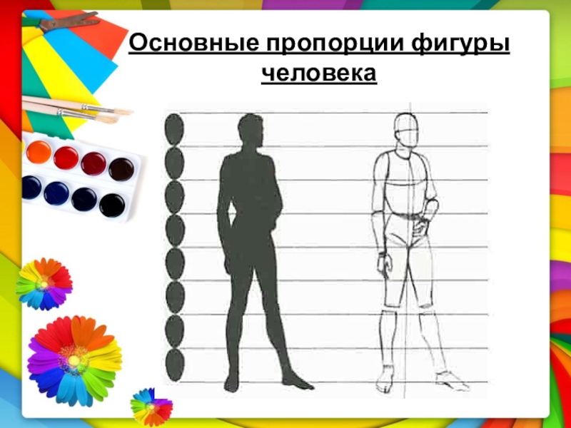 Короткое и длинное пропорции изо 1 класс. Человек по изо. Фигура человека для презентации. Фигура человека по изо. Человек презентация\\ изо.