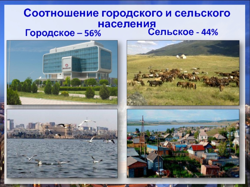 Городское – 56%Соотношение городского и сельского населенияСельское - 44%