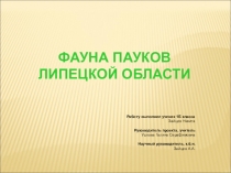 Проектная работа Фауна пауков Липецкой области.