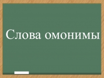 Презентация по русскому языку на тему Слова омонимы (2 класс)