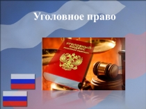 Презентация по обществознанию Уголовное право (9 класс)