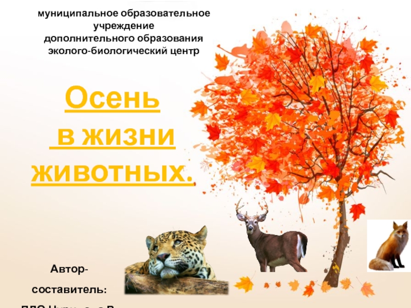 Презентация Презентация по экологии Осенние явления в жизни животных