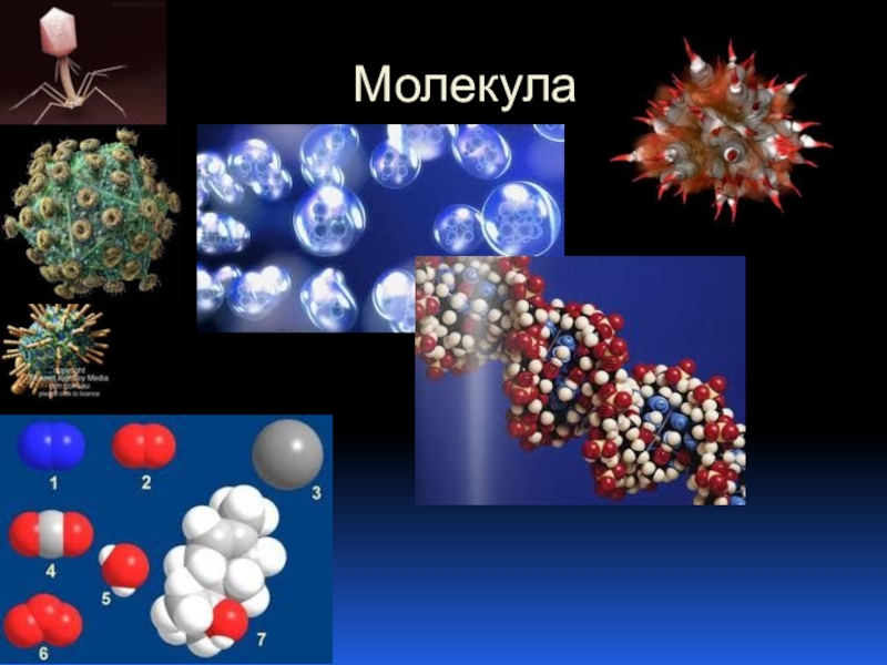 Система молекул