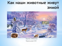 Презентация Кто как готовится к зиме