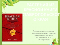 Презентация по экологии Красная книга Ставропольского края. Растения-первоцветы
