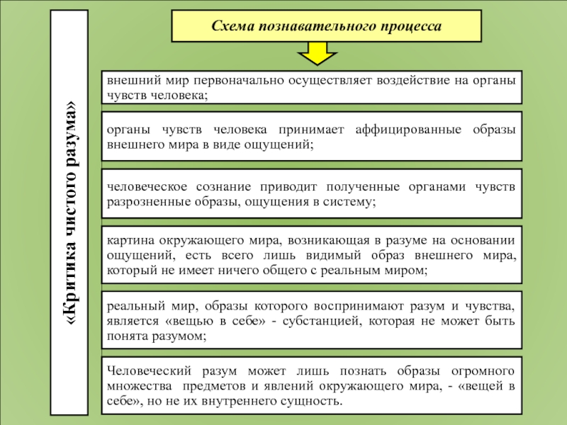 Функции когнитивных схем