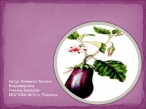 Семейство Паслёновых