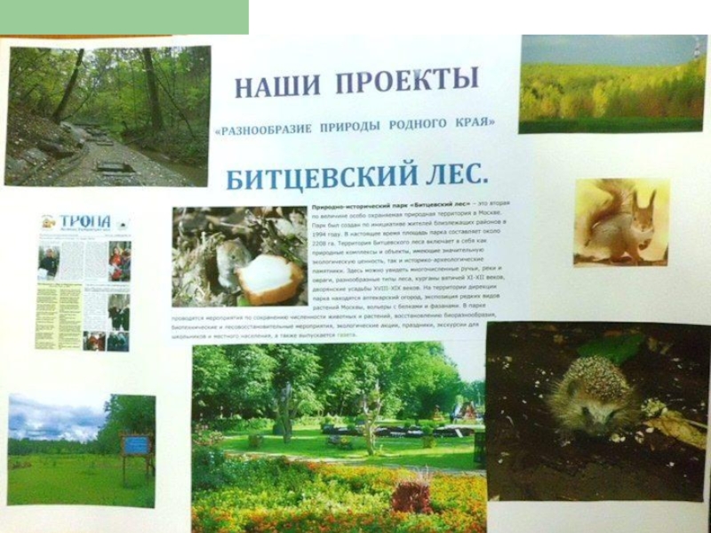 Природа родного края 3 класс. Книга природы родного края. Проект разнообразие природы родного края. Наши проекты разнообразие природы родного края. Проект разнообразие природы родного края 3 класс.