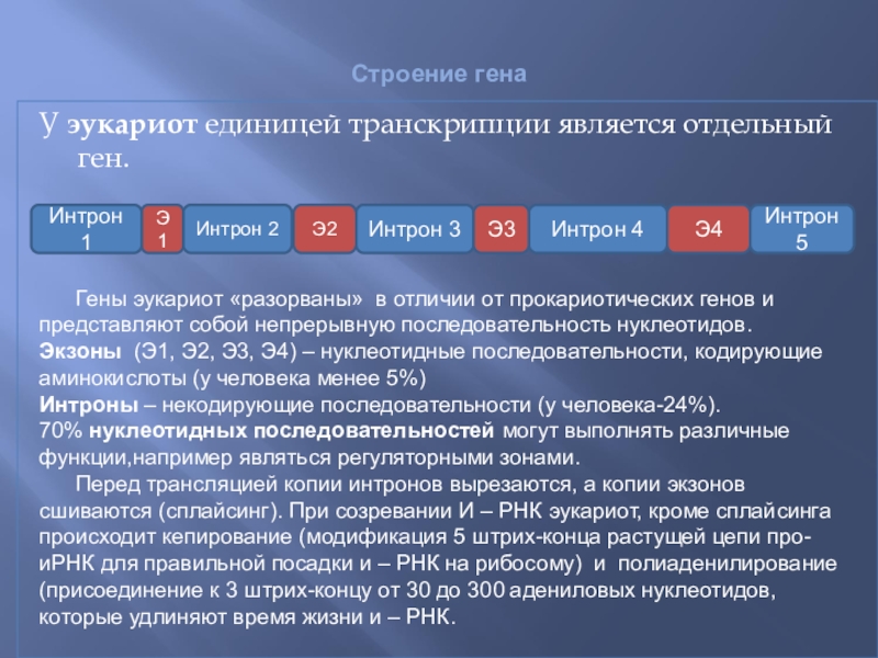 Явись транскрипция. Что является единицей транскрипции. Единица транскрипции у эукариот. Транскриптом является:. Ингибитором транскрипции является.