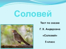 Тест на знание сказки Г.Х. Андерсена Соловей