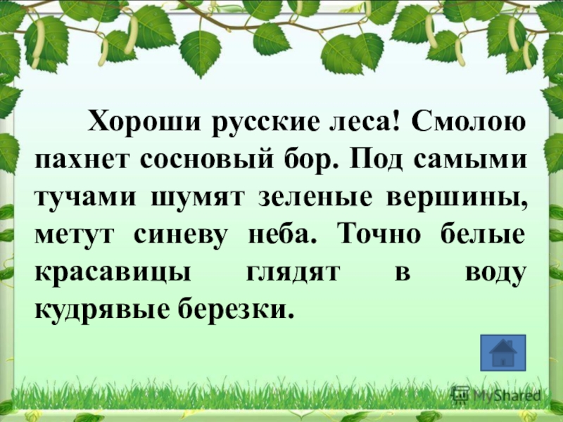 Край лесной слова. Лесные слова. Текст про лес. Хорош русский лес. В лесу текст по русскому языку.