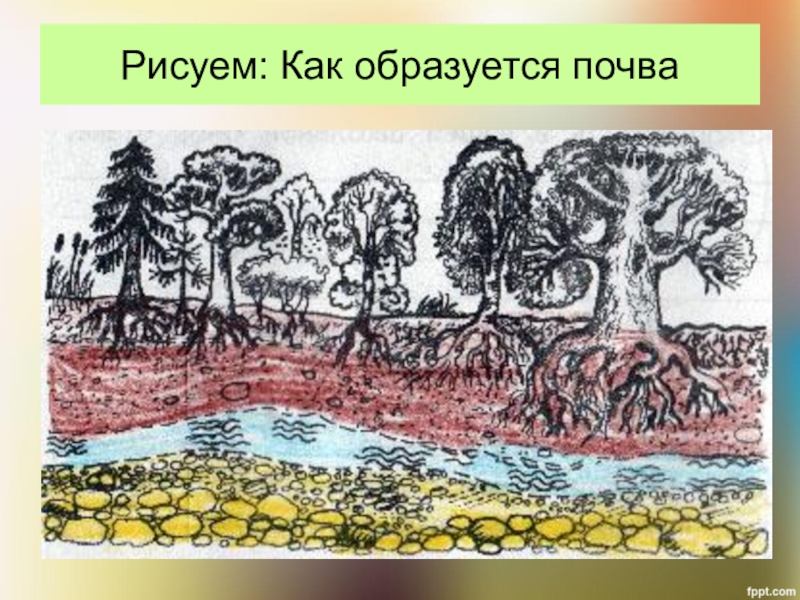 Грунт рисунок карандашом