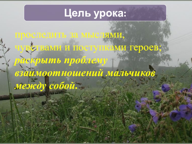 Цель урока:проследить за мыслями, чувствами и поступками героев; раскрыть проблему взаимоотношений мальчиков между собой.