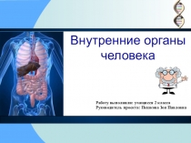 Проект-презентация Внутренние органы человека