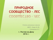 Игра по окружающему миру