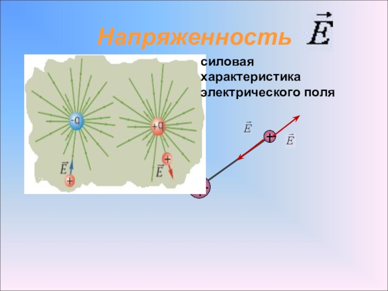 Силовая характеристика поля