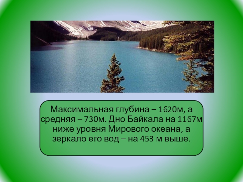 Максимальная глубина дерева. Дни Байкала на 1167 м ниже уровня мирового океана. Глубина озера достигает 1620 м..