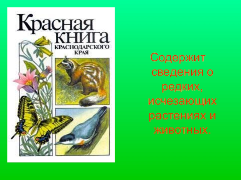 Красная книга краснодарского края. Редкие и исчезающие животные Краснодарского края. Книгу Краснодарского края животные красная книга. Красная книга животных и растений Краснодарского края. Красная книга Краснодарского края для детей.