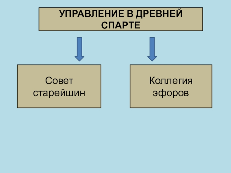 Органы управления в спарте