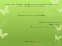 Презентация по биологии на тему Лекарственные растения нашего края (5-7 классы)