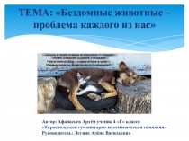 Исследовательская работа Бездомные животные