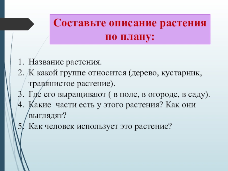 Составить описание. План описания растения. Составление описание растения по плану. План описания цветков. Составить по плану описание растений.