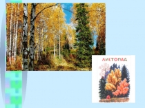 Презентация по литературе И.Бунин