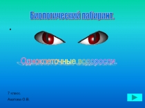 Биологический лабиринт в интересной форме поможет учителю проверить уровень знаний учащихся, так же может использоваться и при изучении нового матеоиала.