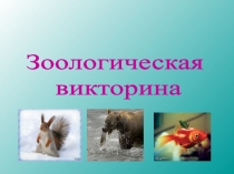 Презентация для уроков биологии Зоологическая викторина (7 класс)