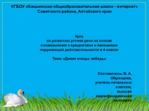 Презентация к уроку развития устной речи на основе ознакомления с предметами и явлениями окружающей действительности на тему Дикие птицы: лебедь